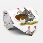 レアトルコカルテット ネクタイ (ロール)