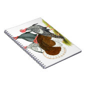 レアトルコカルテット ノートブック (右側)