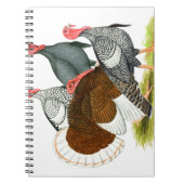 レアトルコカルテット ノートブック (正面)