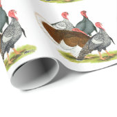 レアトルコカルテット ラッピングペーパー (ロールコーナー)