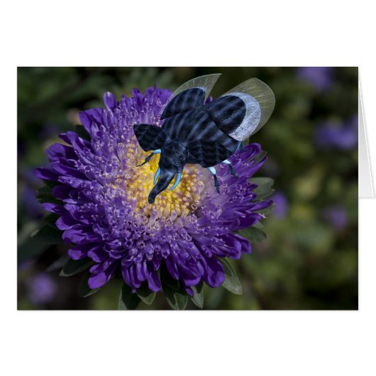 レアブルーゾウの虫 (正面横)