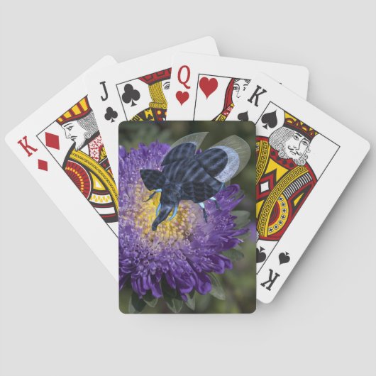 レアブルーゾウの虫 トランプ (裏面)