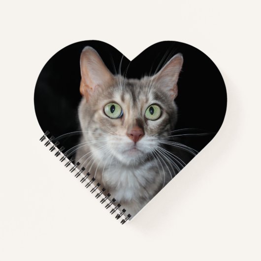 レアブルーマーブルベンガル猫写真ハート ノートブック (正面)