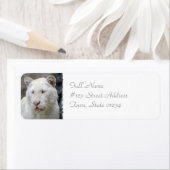 レアホワイトタイガーの宛名ラベル ラベル (インサイチュ)