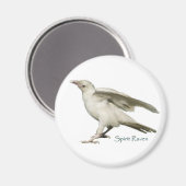 レアホワイトRavenフォトスピリットRaven IIシリーズ マグネット (正面/裏面)