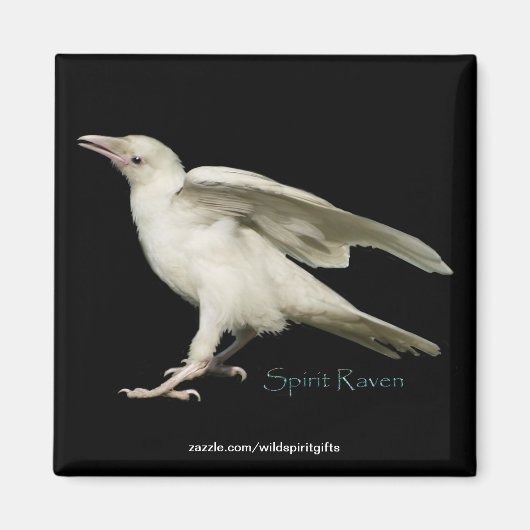 レアホワイトRavenフォトスピリットRaven IIシリーズ マグネット (正面)