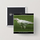 レアホワイトRavenモチベーション・ピン 缶バッジ (正面&裏面)