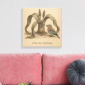 レアボタニカルローラー&ウェルウィッチアヴィンテージアート キャンバスプリント (インサイチュ (リビング))