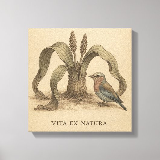 レアボタニカルローラー&ウェルウィッチアヴィンテージアート キャンバスプリント (正面)