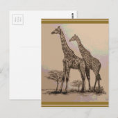 レアレトロアフリカンギラフェズインセピア&パステル ポストカード (正面/裏面)