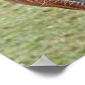 レアワイルドニューフォレストパロミノポニーイングランド ポスター (角)