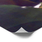 レイのポスター ポスター (角)