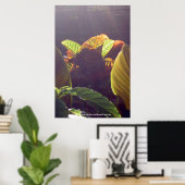 レイのポスター ポスター (ホームオフィス)