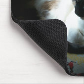 レイオブサンナッピング子猫 マウスパッド (コーナー)