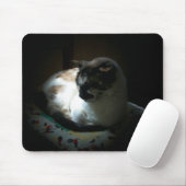 レイオブサンナッピング子猫 マウスパッド (マウス)
