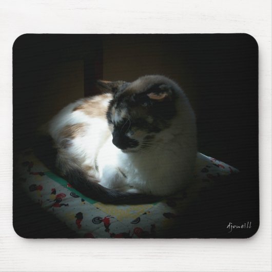 レイオブサンナッピング子猫 マウスパッド (正面)