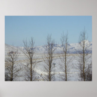 レイキャビクアイスランド ポスター