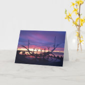 レイキャビク日没グリーティングカード#3 カード (黄色い花)