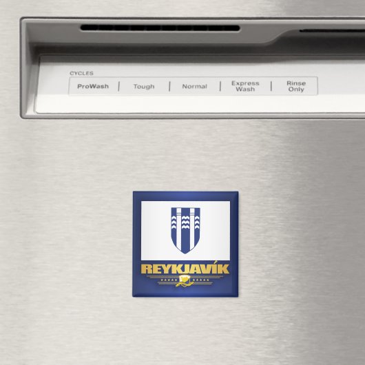 レイキャビク マグネット (インサイチュ (食洗機))