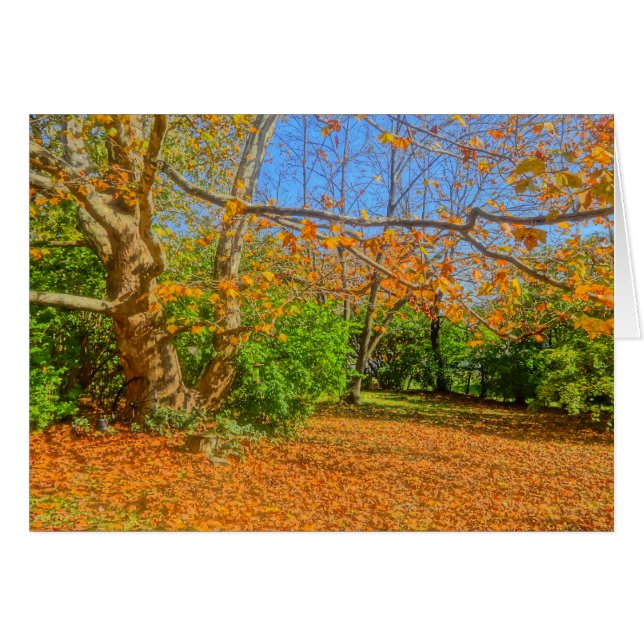 レイクする時間だ！ (正面横)