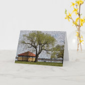 レイクウェンドウリーパビリオンバララト カード (黄色い花)