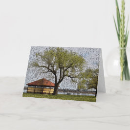 レイクウェンドウリーパビリオンバララト カード