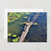 レイクエリーメトロパークタートルログ垂直 ポストカード (正面/裏面)