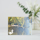 レイクエリーメトロパークタートルログ横ロゴ ポストカード (スタンド正面)