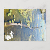 レイクエリーメトロパークタートルログ横ロゴ ポストカード (正面)