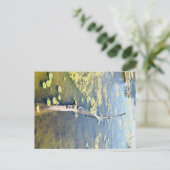 レイクエリーメトロパークタートルログ水平 ポストカード (スタンド正面)