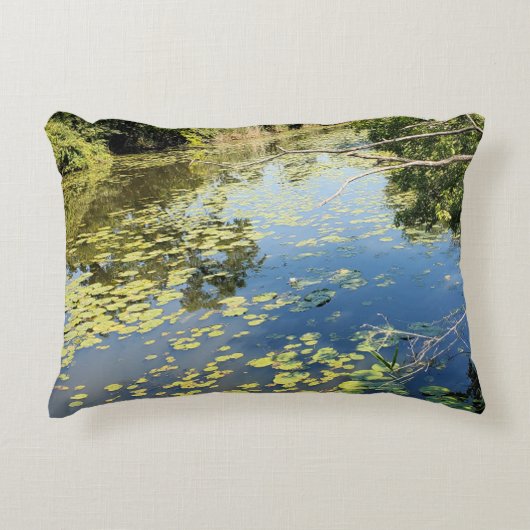 レイクエリーメトロパークリバービュー アクセントクッション (正面)