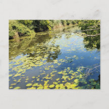 レイクエリーメトロパークリバービュー