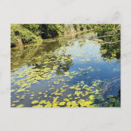 レイクエリーメトロパークリバービュー ポストカード