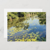 レイクエリーメトロパークリバービュー ポストカード (正面/裏面)