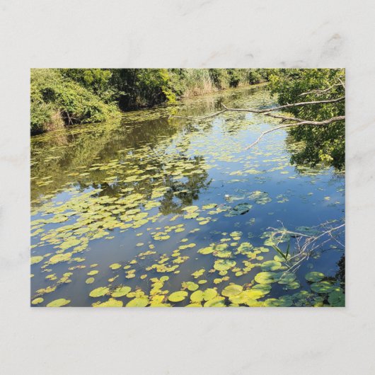 レイクエリーメトロパークリバービュー ポストカード (正面)