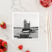 レイクエリーライトハウス スタンダードカクテルナプキン (インサイチュ)