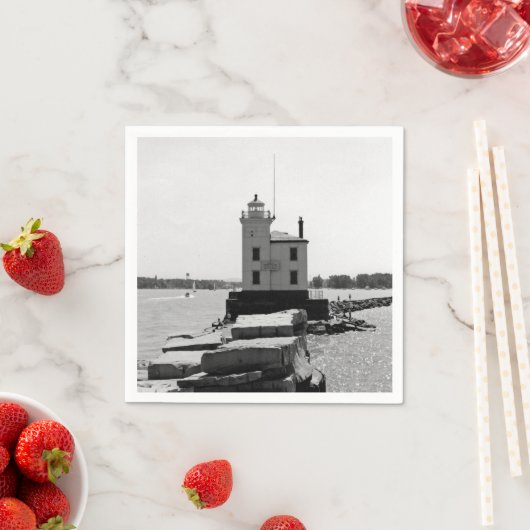 レイクエリーライトハウス スタンダードカクテルナプキン (インサイチュ)