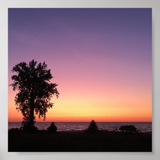 レイクエリー ポスター (正面)