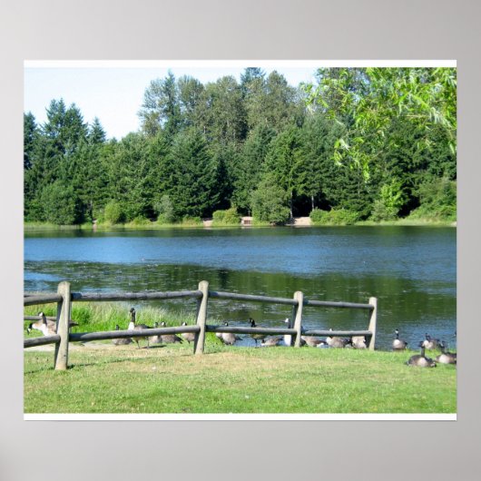 レイクサイドゲーゼアットザパーク ポスター (正面)