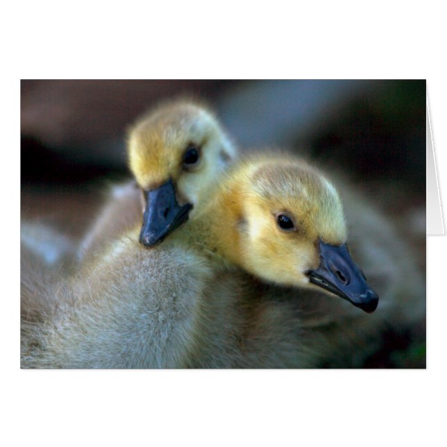 レイクサイド (正面横)