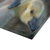 レイクサイド カッティングボード (角)