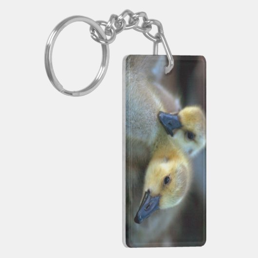 レイクサイド キーホルダー (正面左)