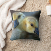 レイクサイド クッション (ブランケット)