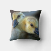 レイクサイド クッション (裏面)