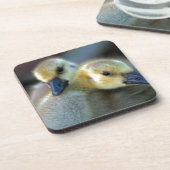 レイクサイド コースター (左側)