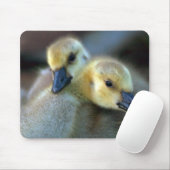 レイクサイド マウスパッド (マウス)