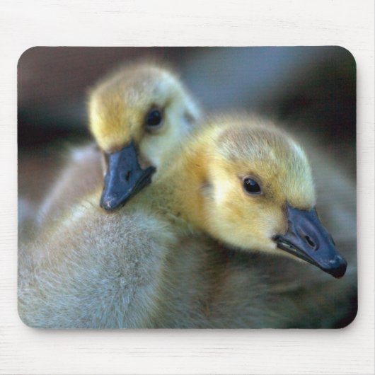 レイクサイド マウスパッド (正面)