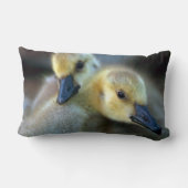 レイクサイド ランバークッション (裏面)