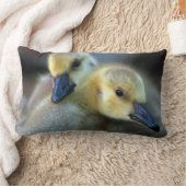 レイクサイド ランバークッション (ブランケット)