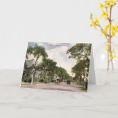 レイクショアドライブ，シカゴ1914ヴィンテージ カード (黄色い花)